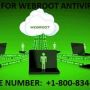 webroot